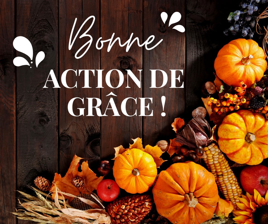 Jason Groleau, député de Beauce 