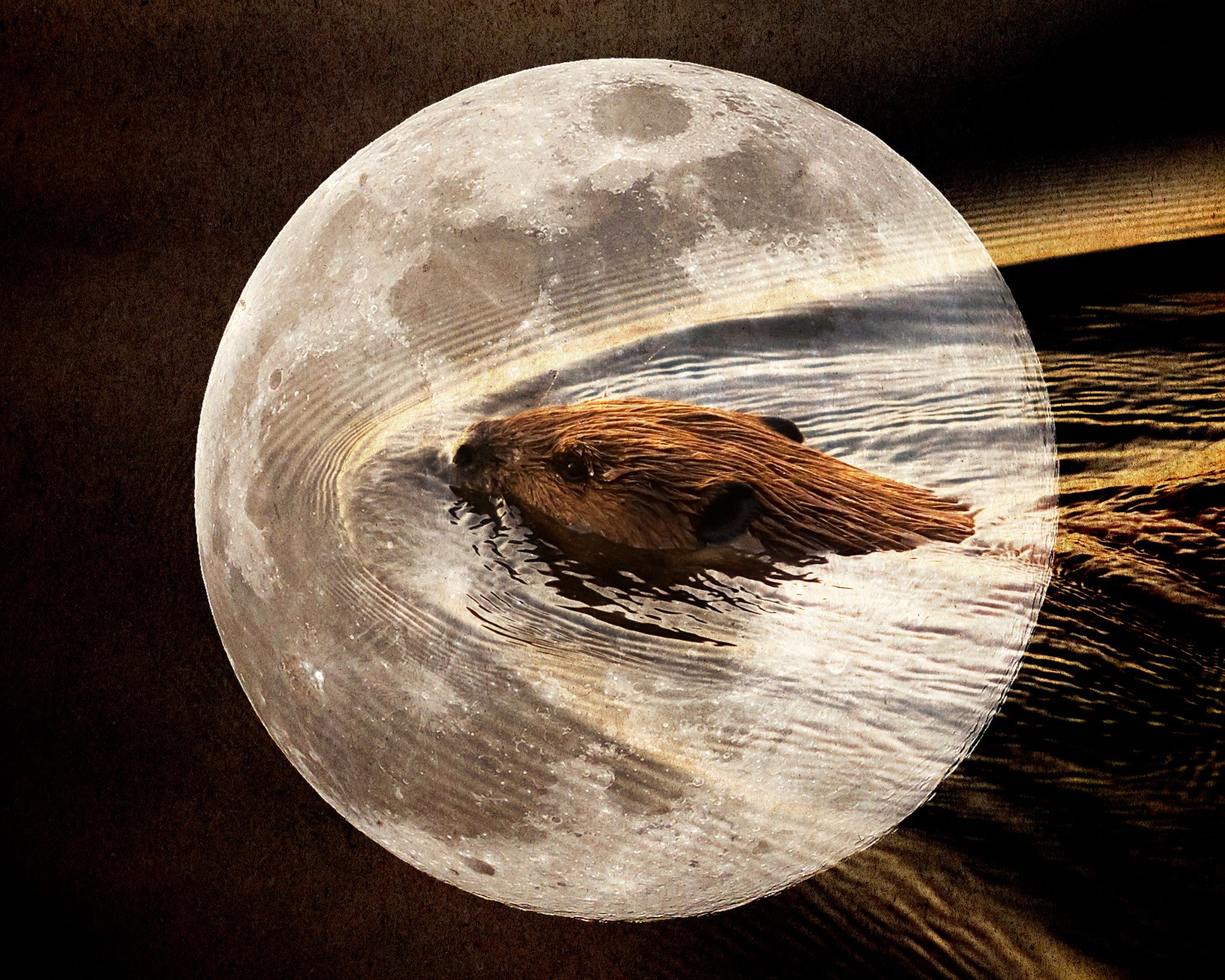 La Maison des Cristaux inc.