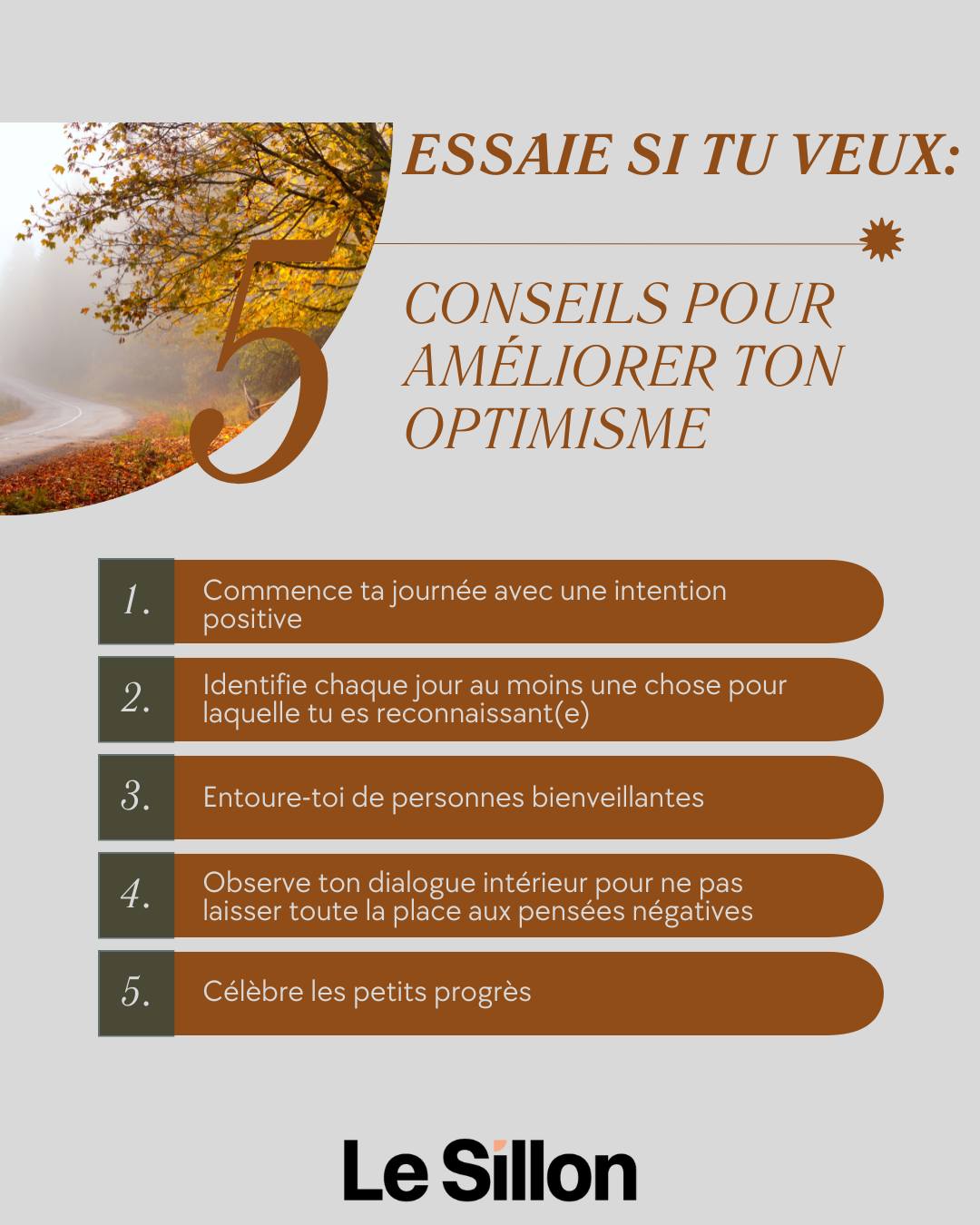Le Sillon – Organisme de soutien aux proches d'une personne vivant avec un trouble de santé mentale.