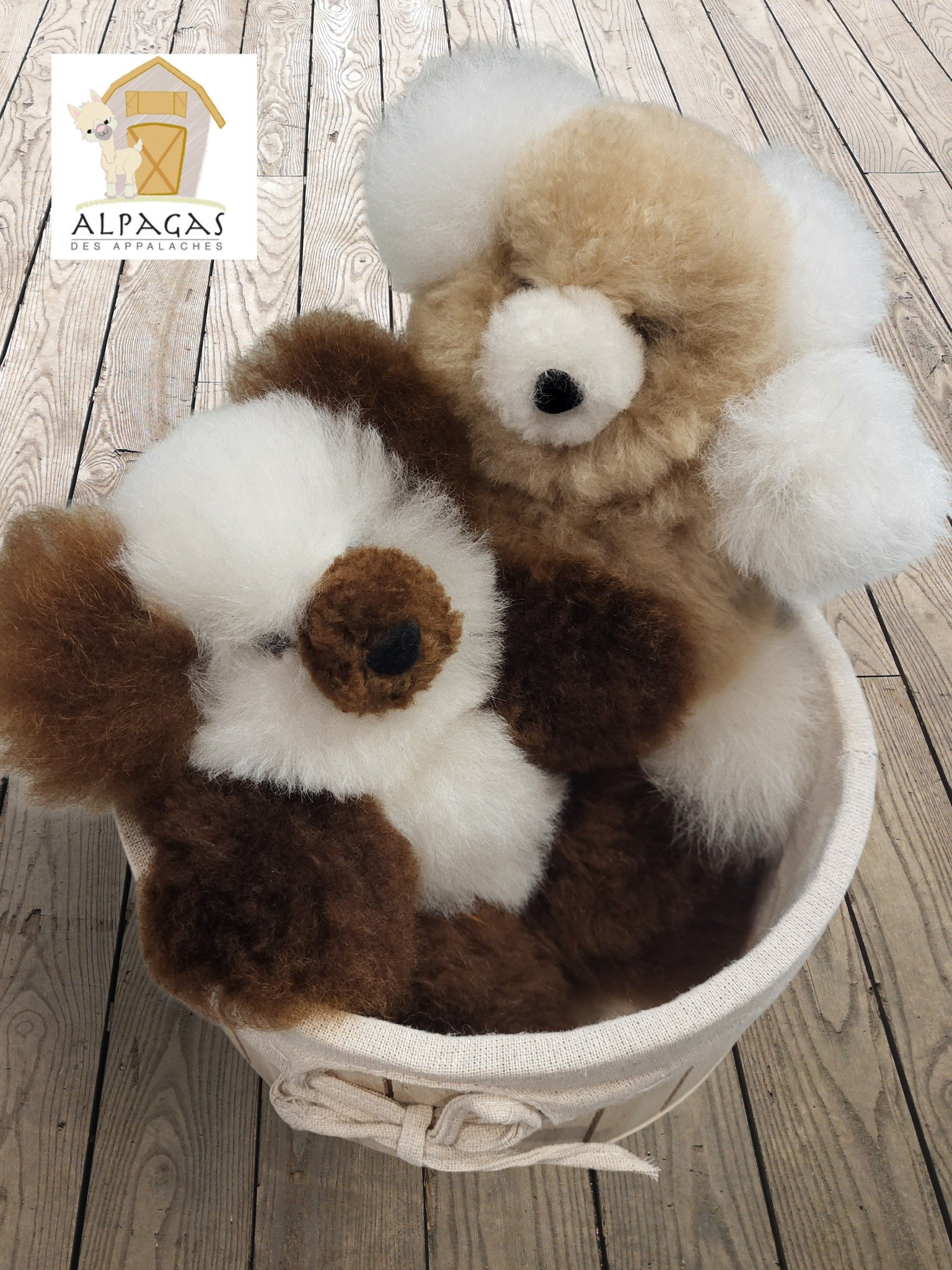 Le spécialiste du travailleur