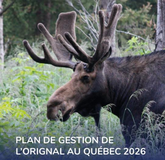 Chasse et pêche Le Montagnard