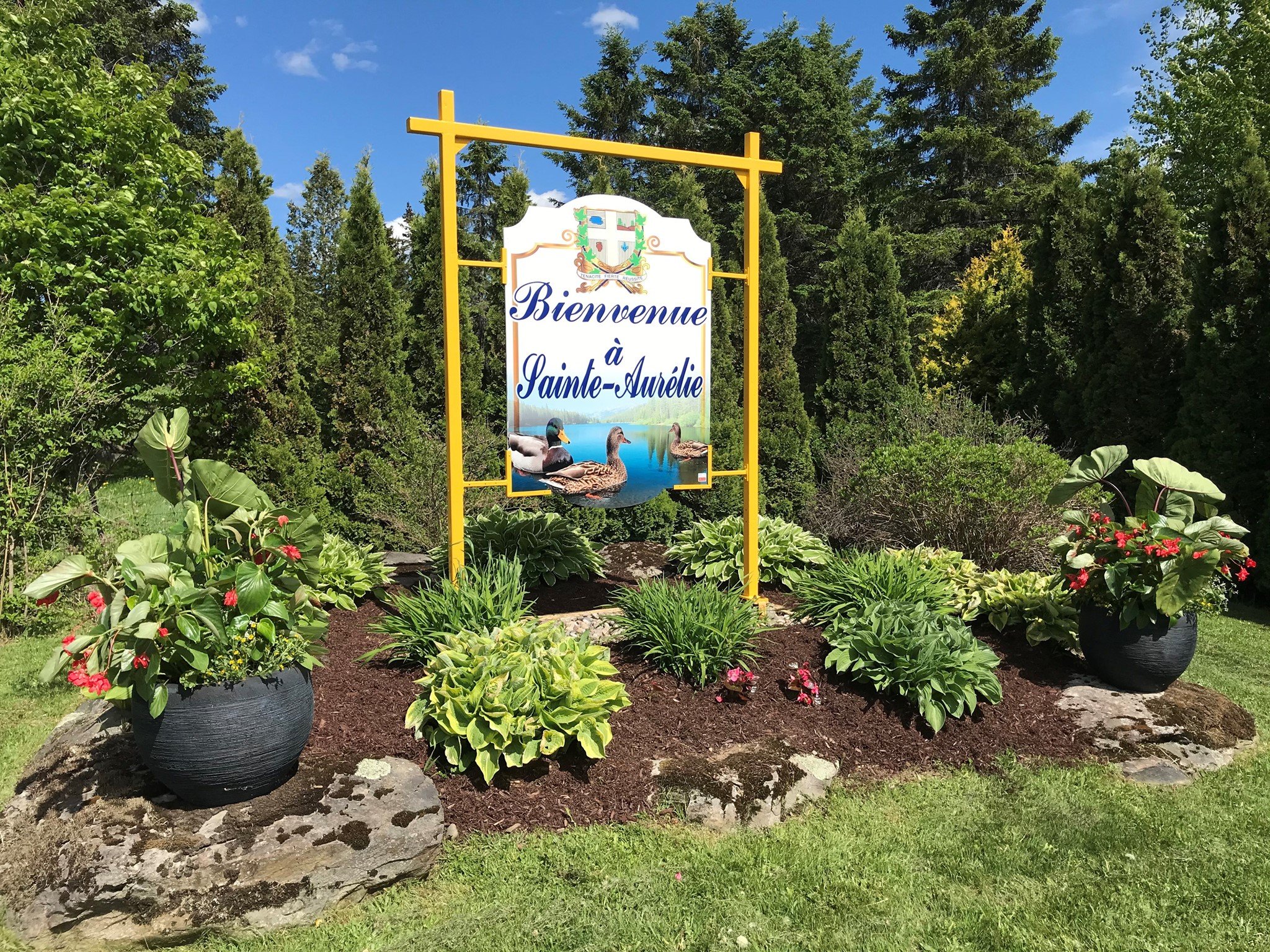 Municipalité de Sainte-Aurélie