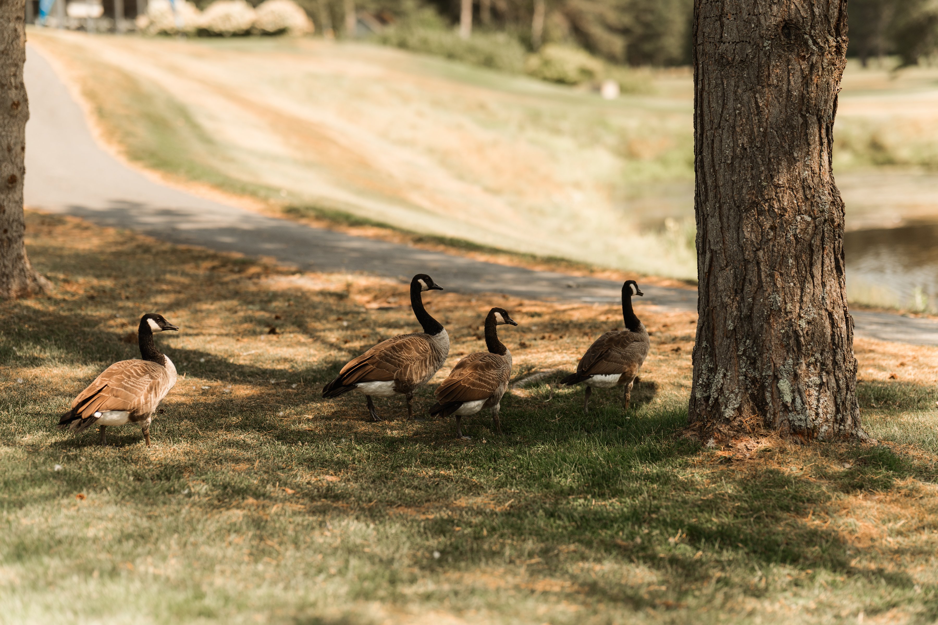 Chambre de Commerce St-Georges