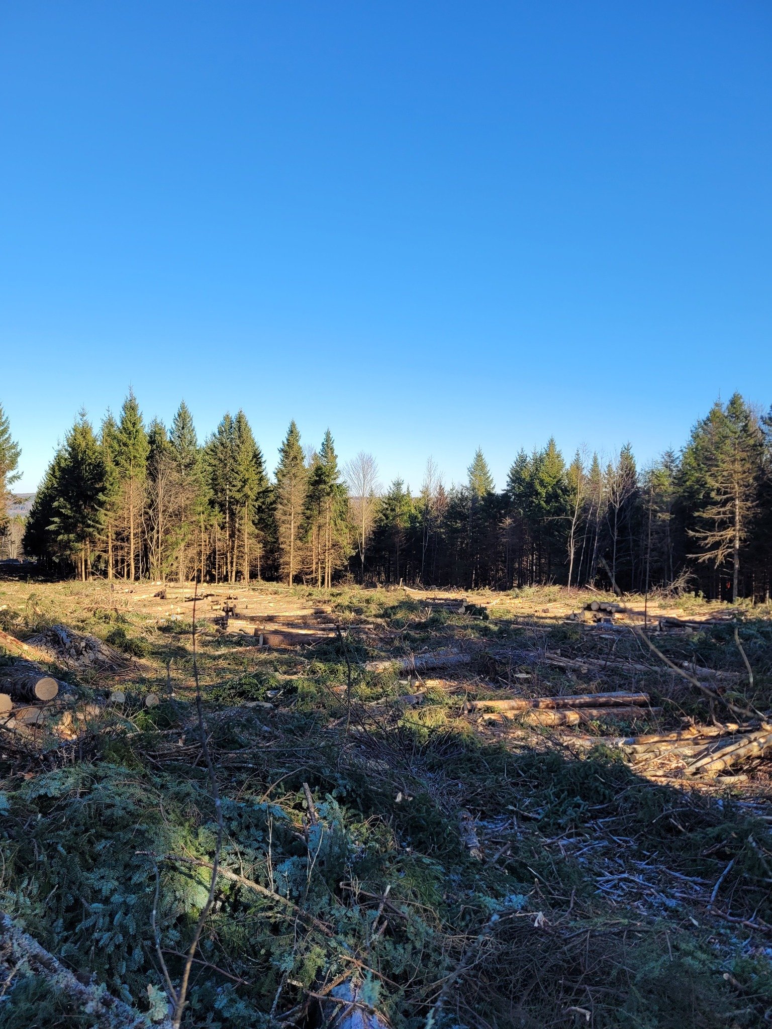 Groupement Forestier de Beauce 