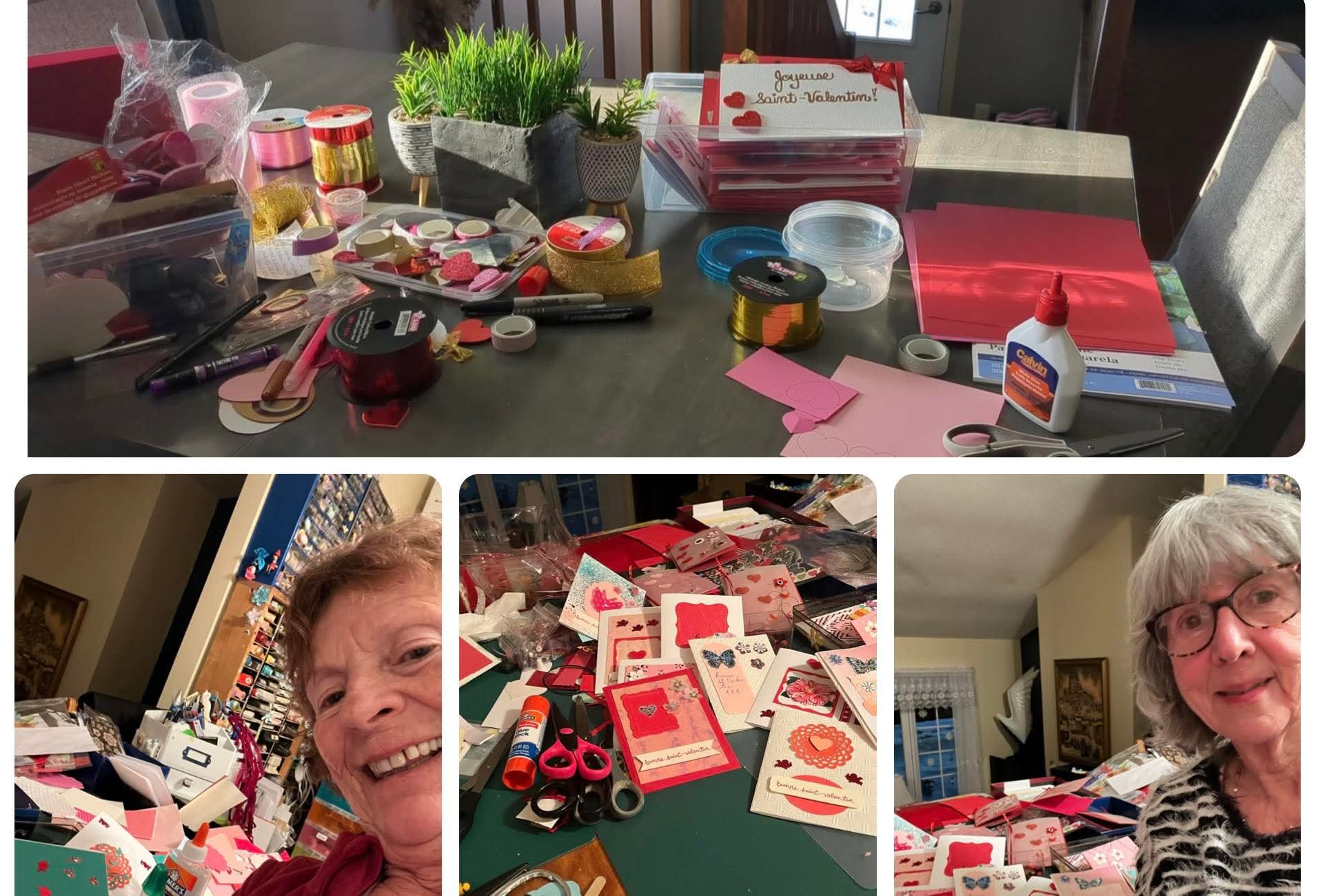 Association bénévole Beauce-Sartigan - ABBS 