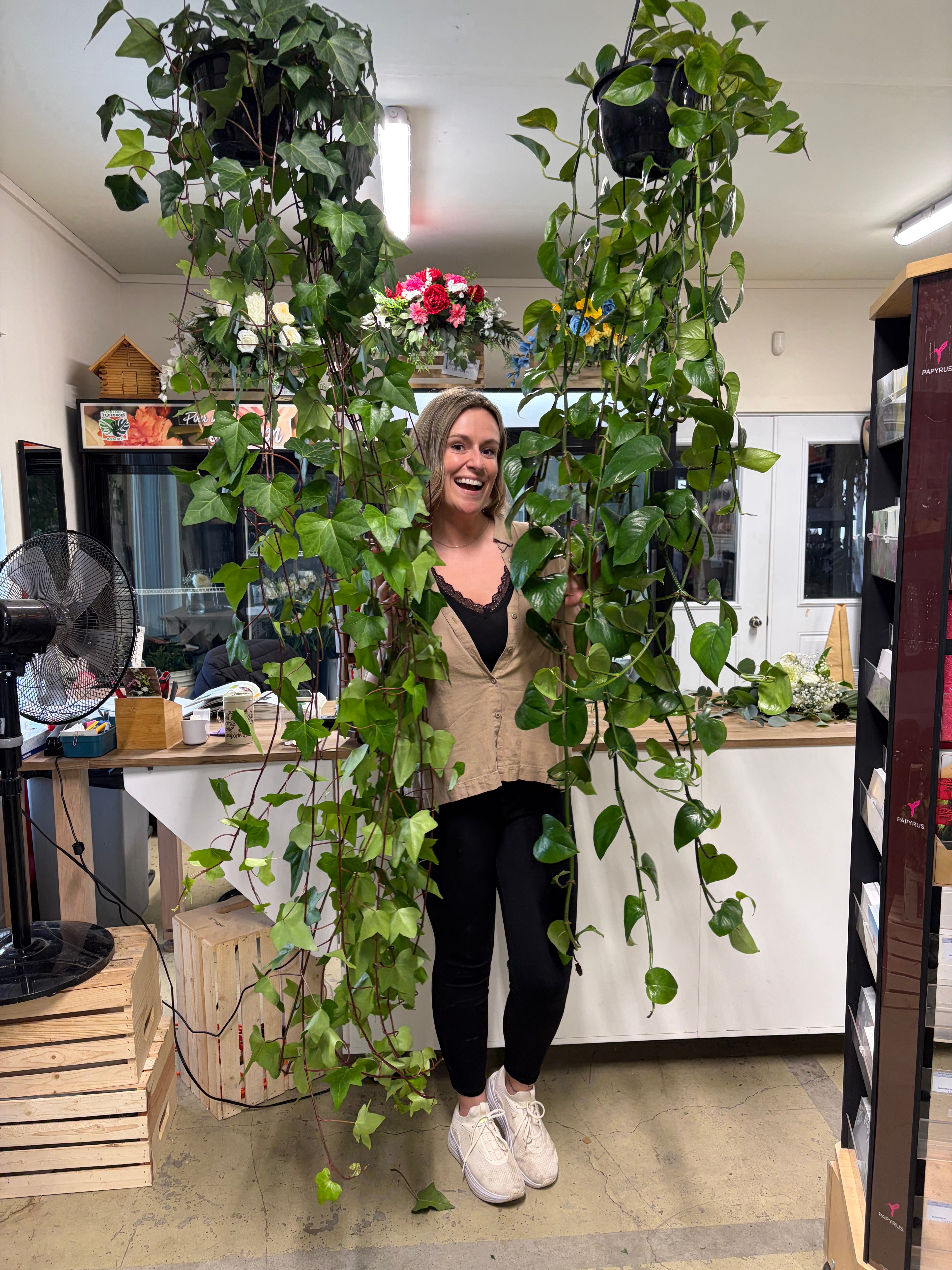 Les Serres St-Georges - Botanix