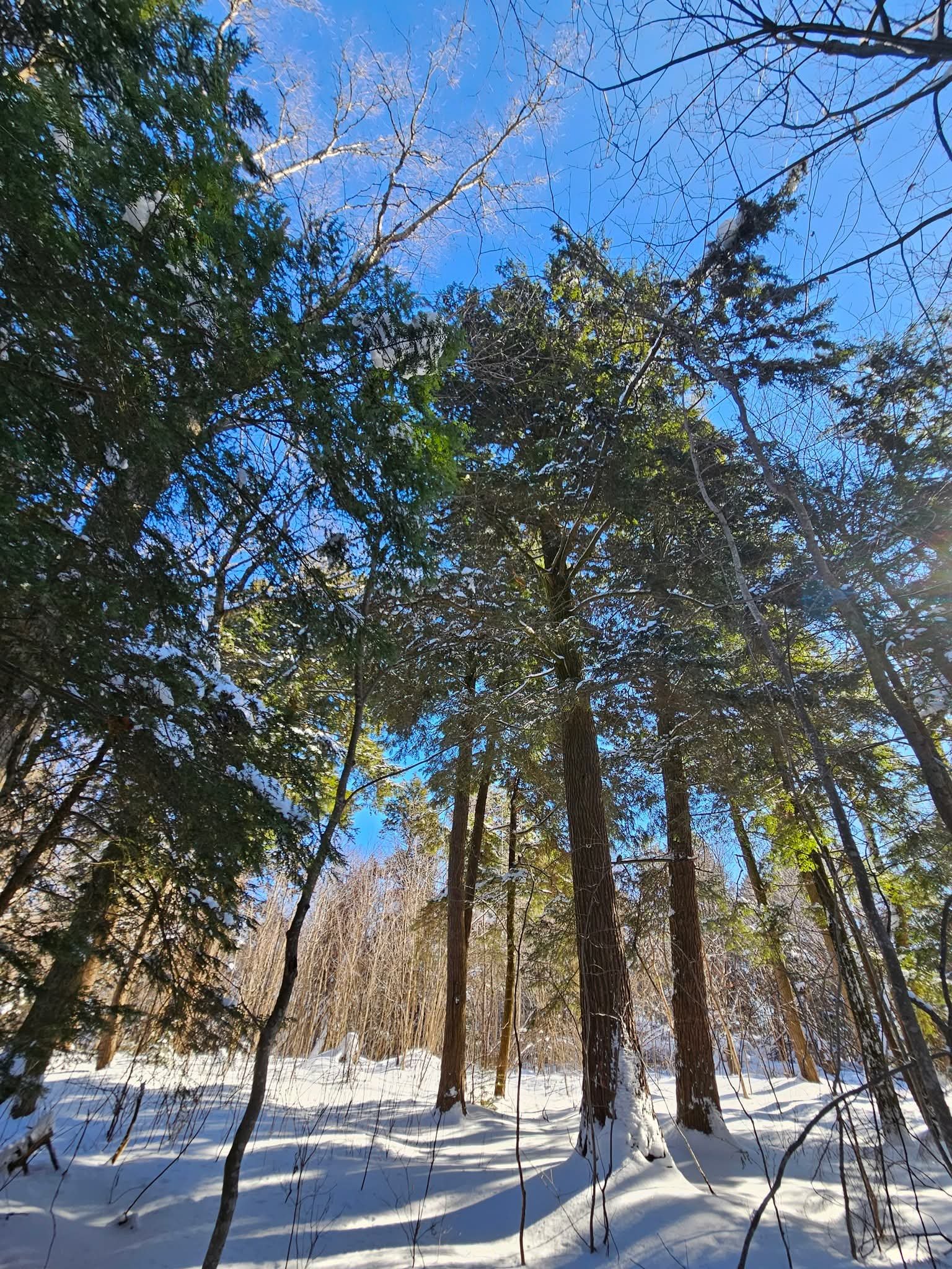 Groupement Forestier de Beauce 