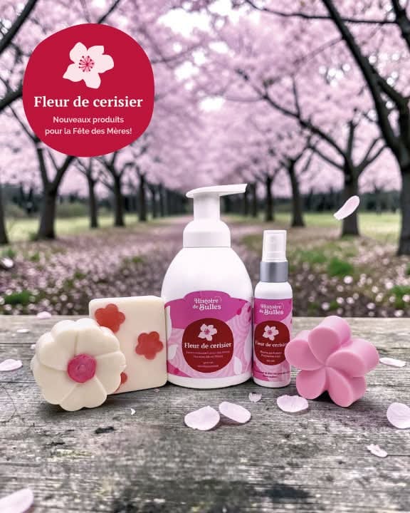 Savonnerie Histoire de Bulles