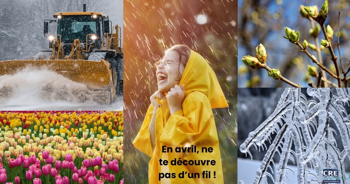 CRE Beauce-Etchemins