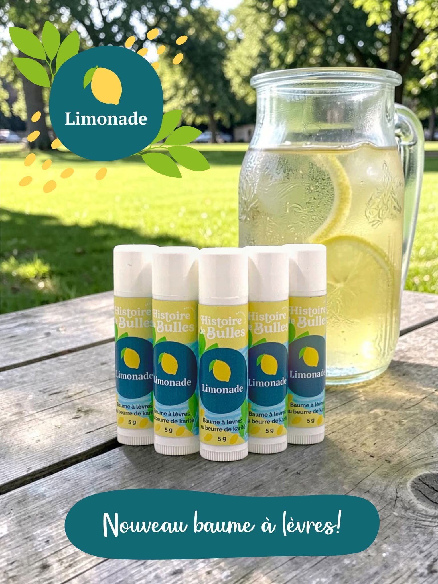 Savonnerie Histoire de Bulles