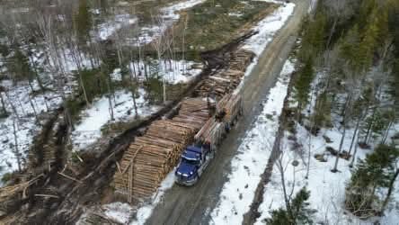 Groupement Forestier de Beauce 