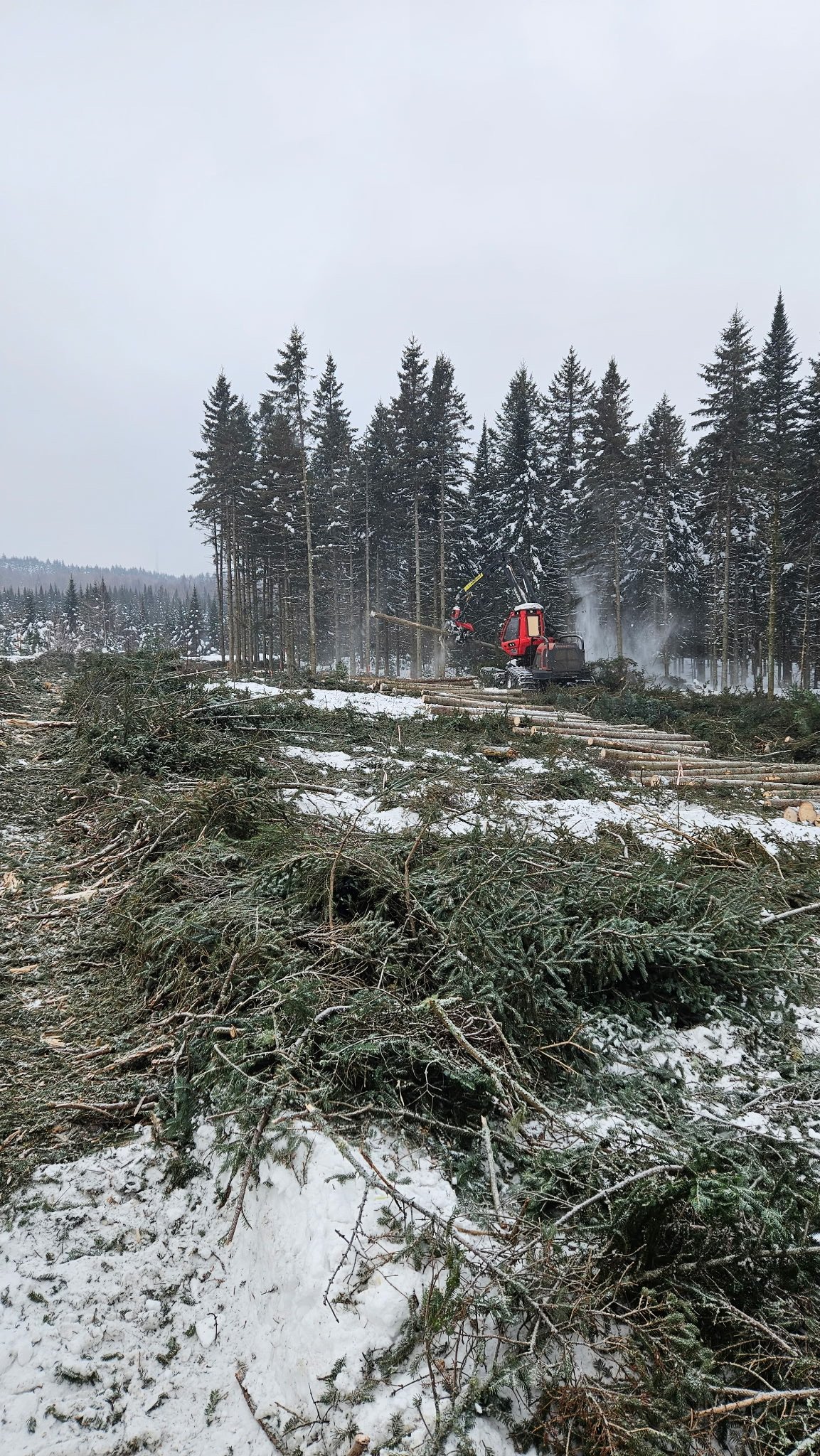 Groupement Forestier de Beauce 