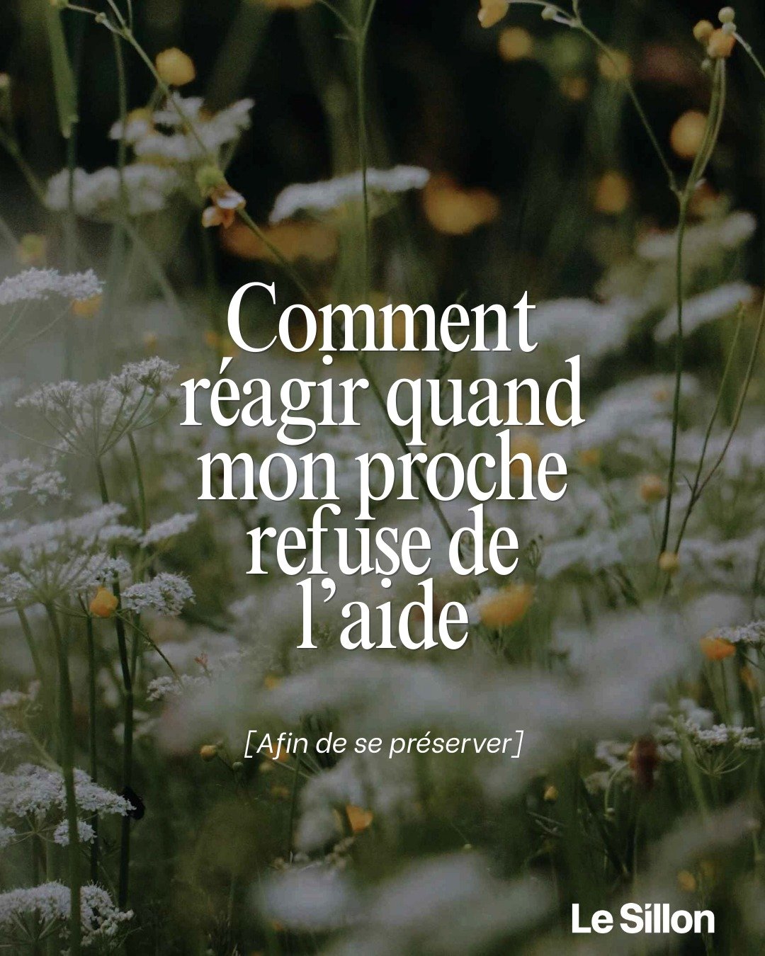 Le Sillon – Organisme de soutien aux proches d'une personne vivant avec un trouble de santé mentale.