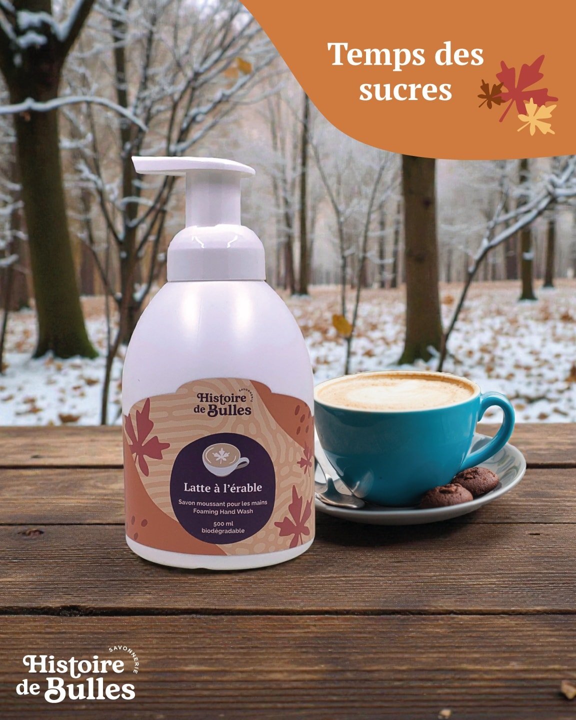 Savonnerie Histoire de Bulles