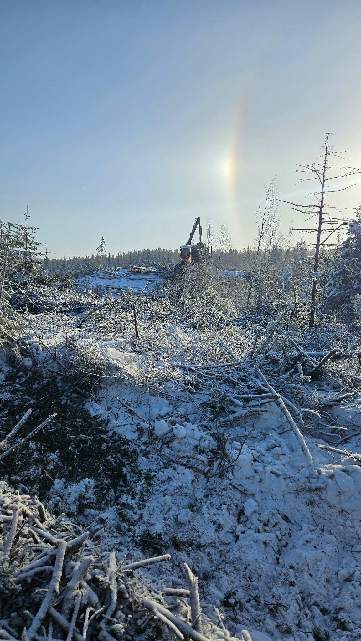 Groupement Forestier de Beauce 