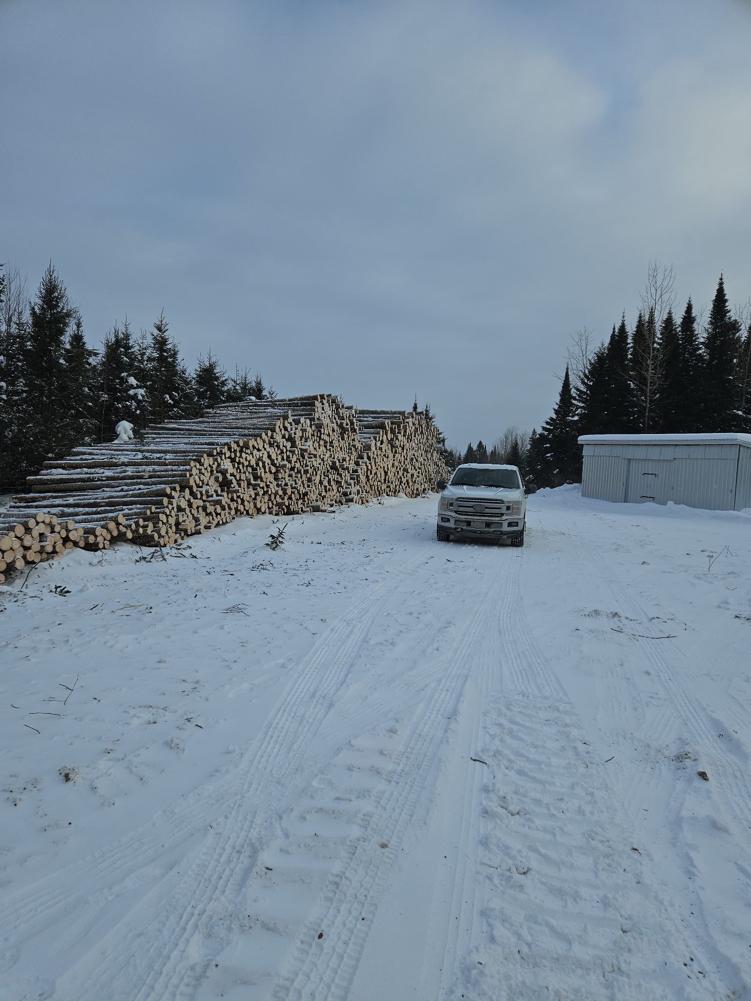 Groupement Forestier de Beauce 