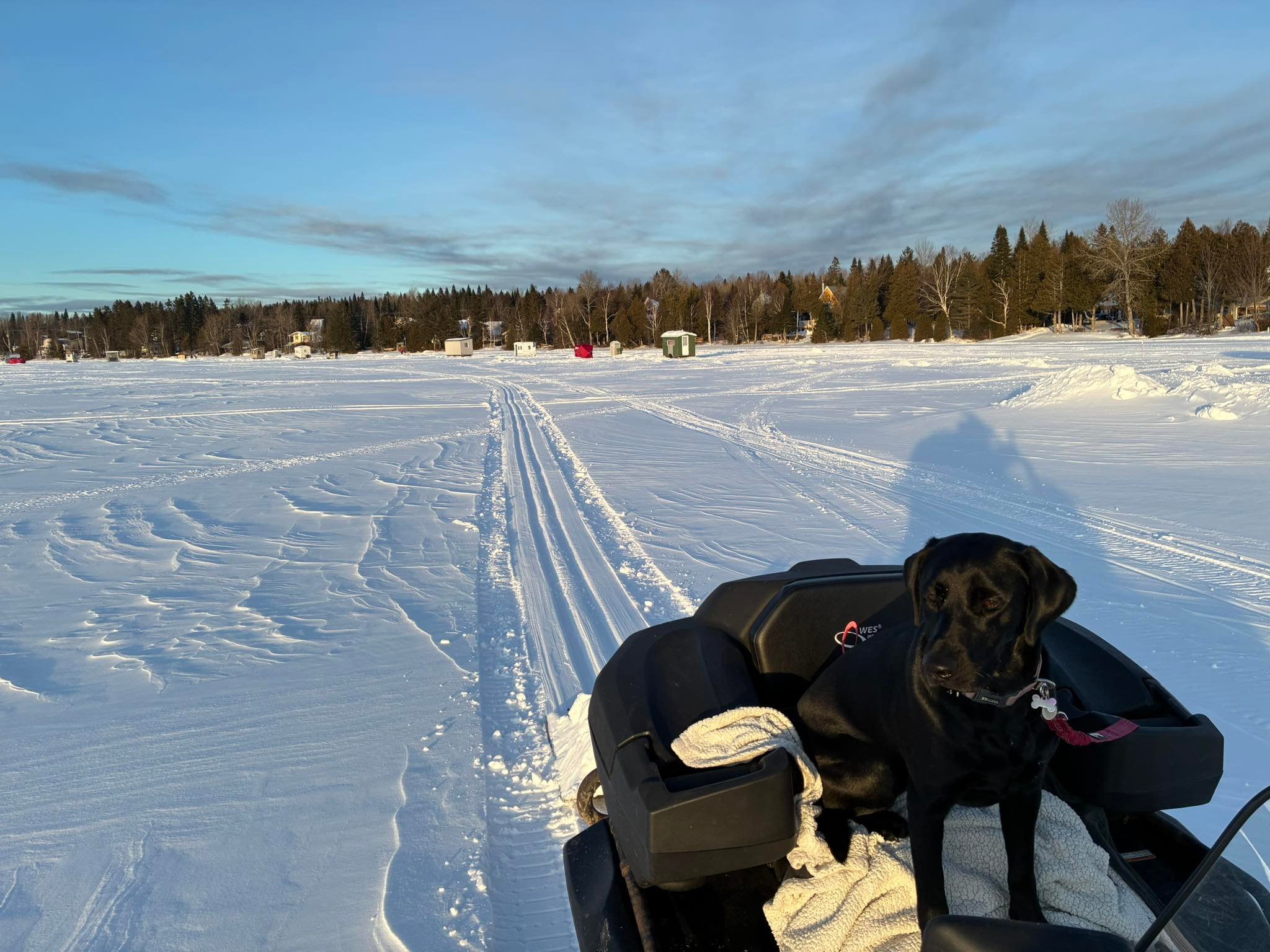 Municipalité de Sainte-Aurélie