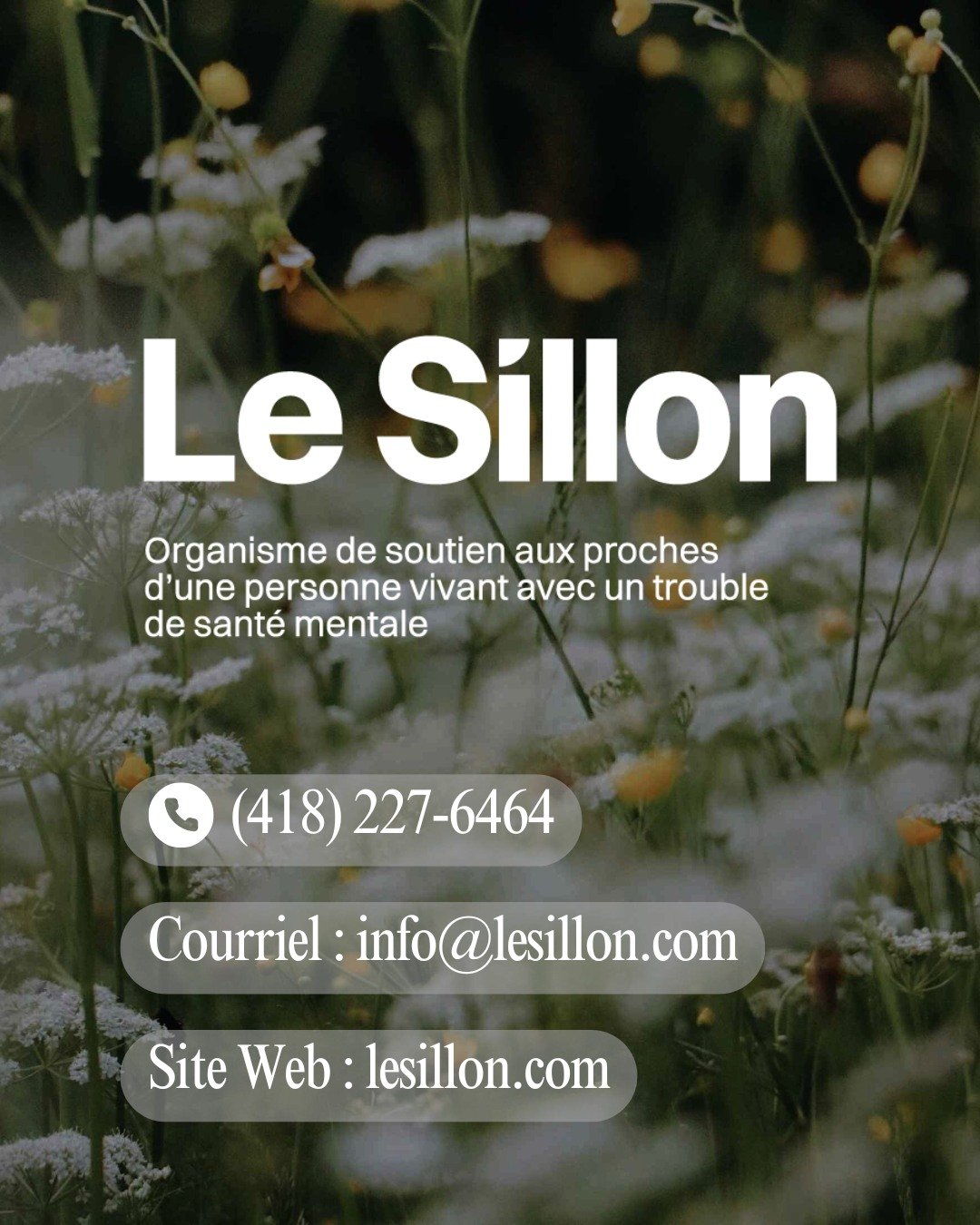 Le Sillon – Organisme de soutien aux proches d'une personne vivant avec un trouble de santé mentale.