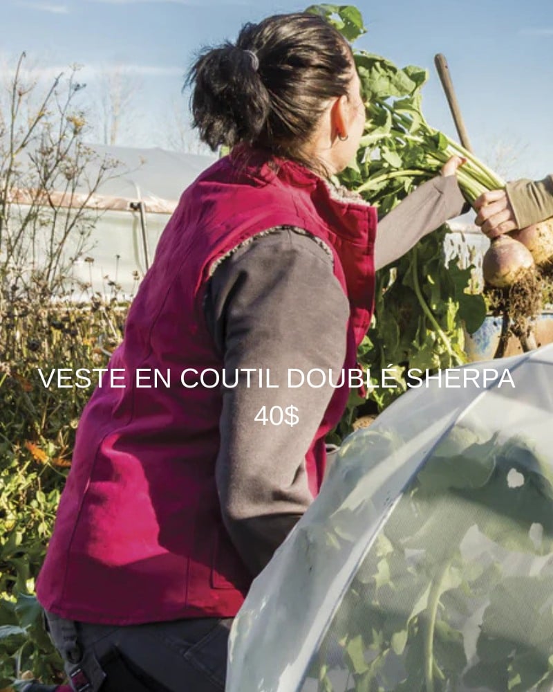 Le spécialiste du travailleur