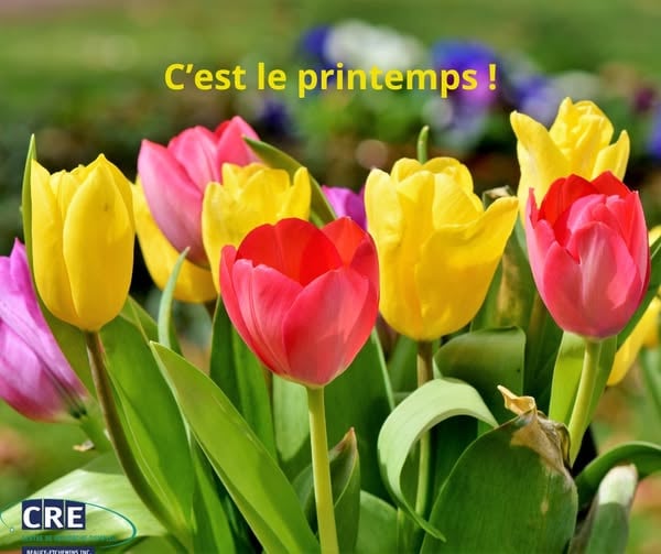 CRE Beauce-Etchemins