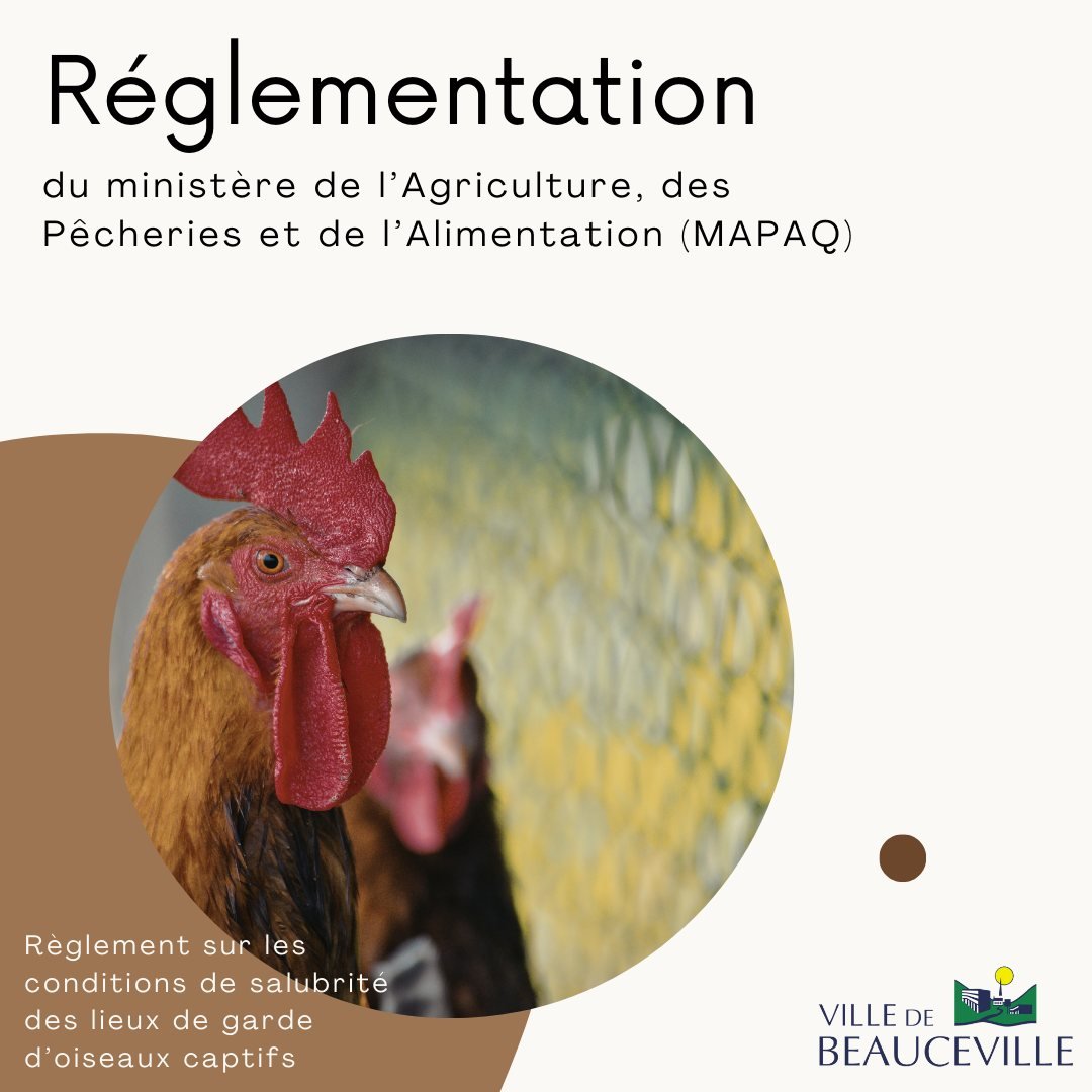 Ville de Beauceville