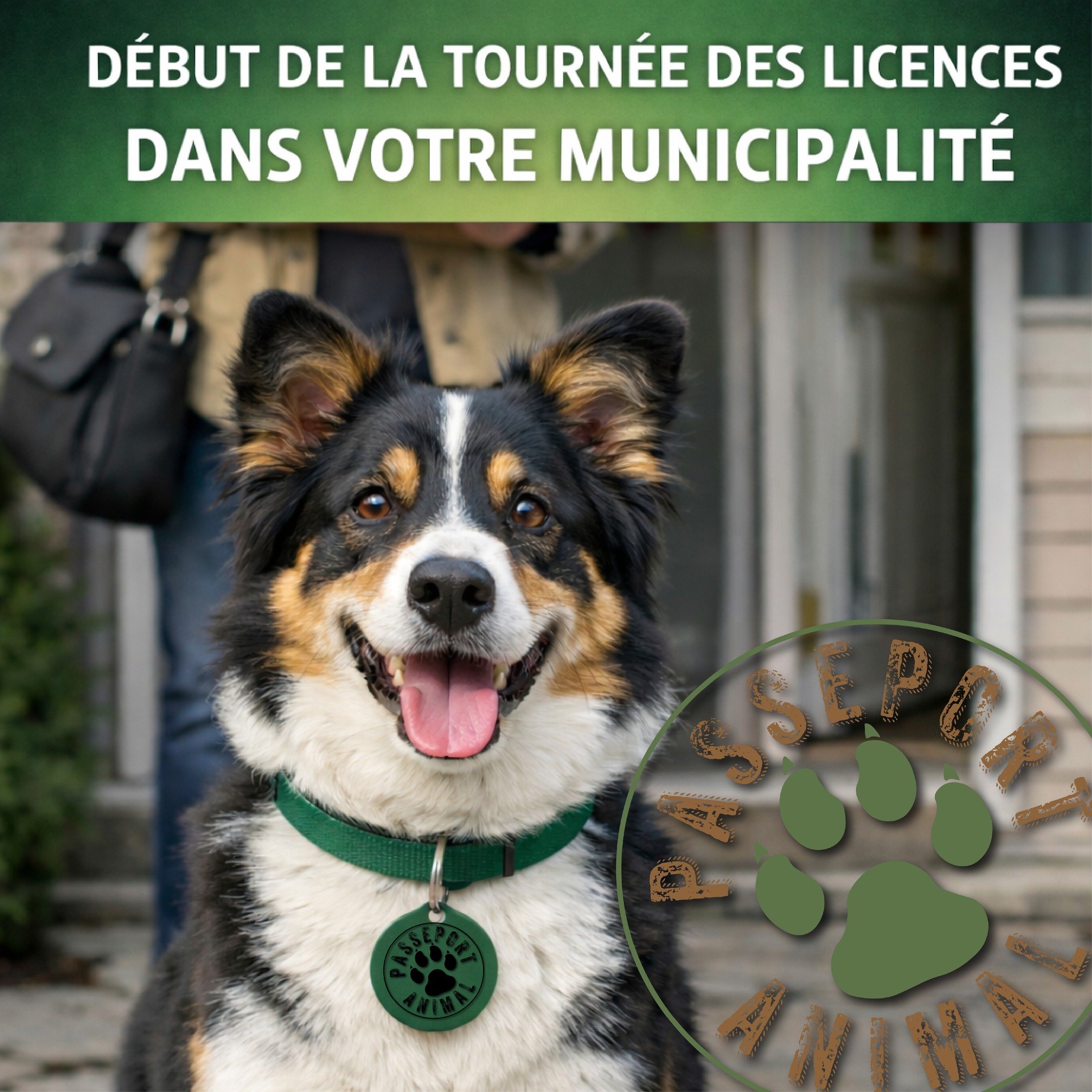 Municipalité de Sainte-Aurélie