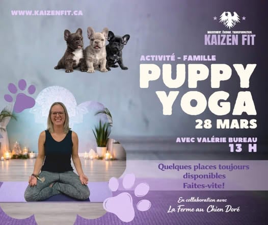 Centre d'arts martiaux Kaizen