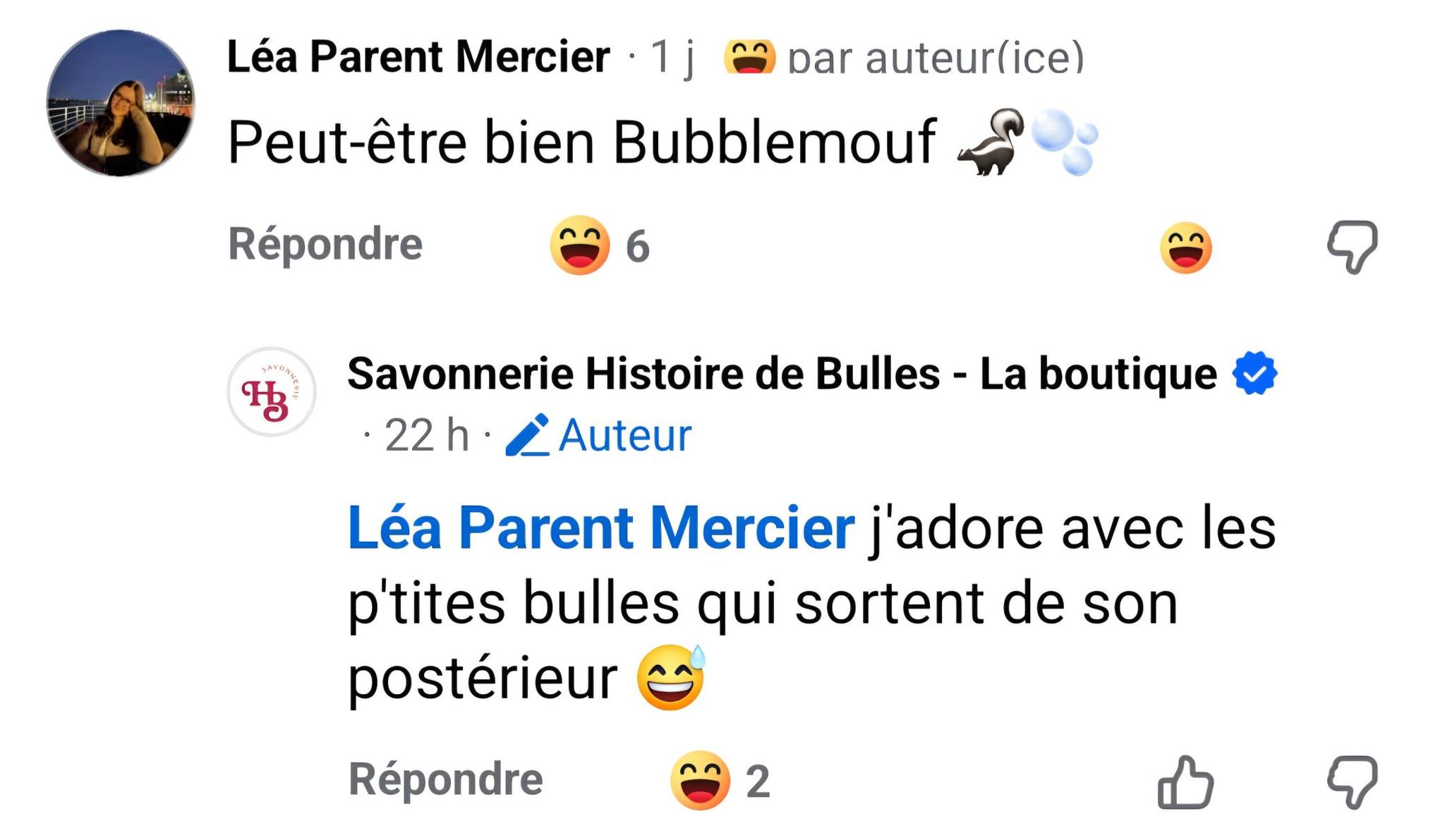 Savonnerie Histoire de Bulles